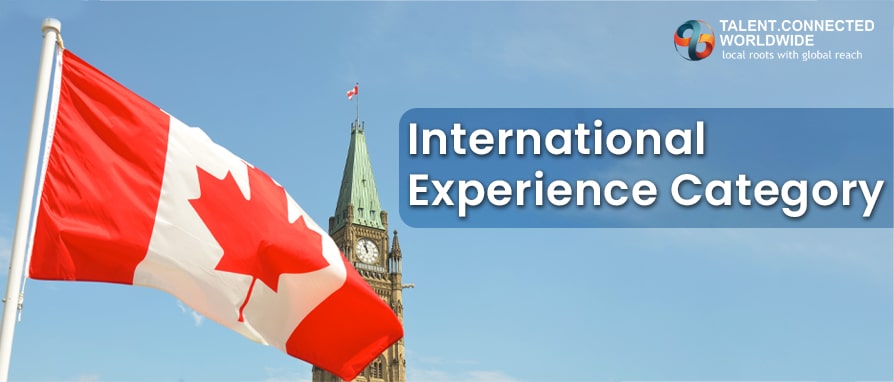 International Experience Category