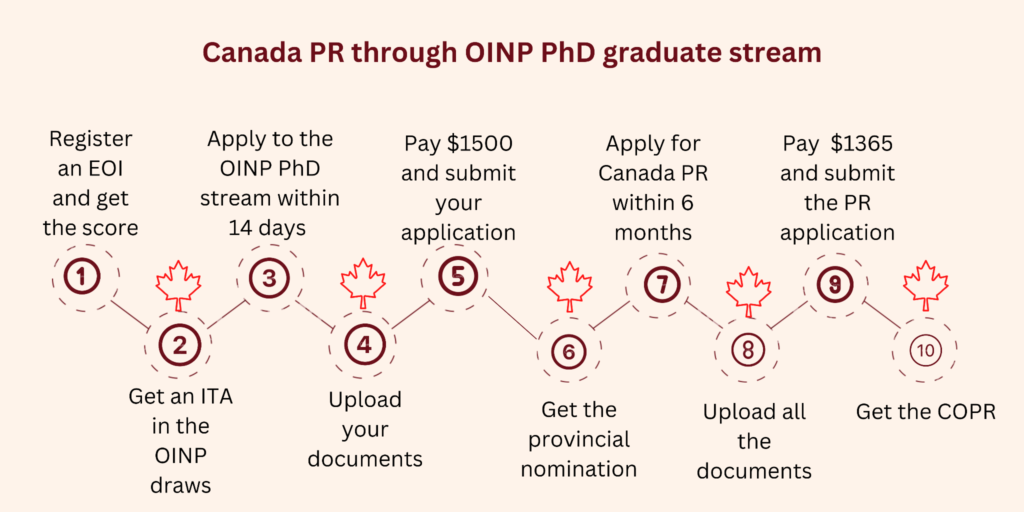 OINP PhD stream: Settle in Ontario with a PhD degree