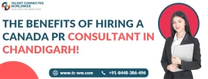 The Benefits of Hiring a Canada PR Consultant in Chandigarh!