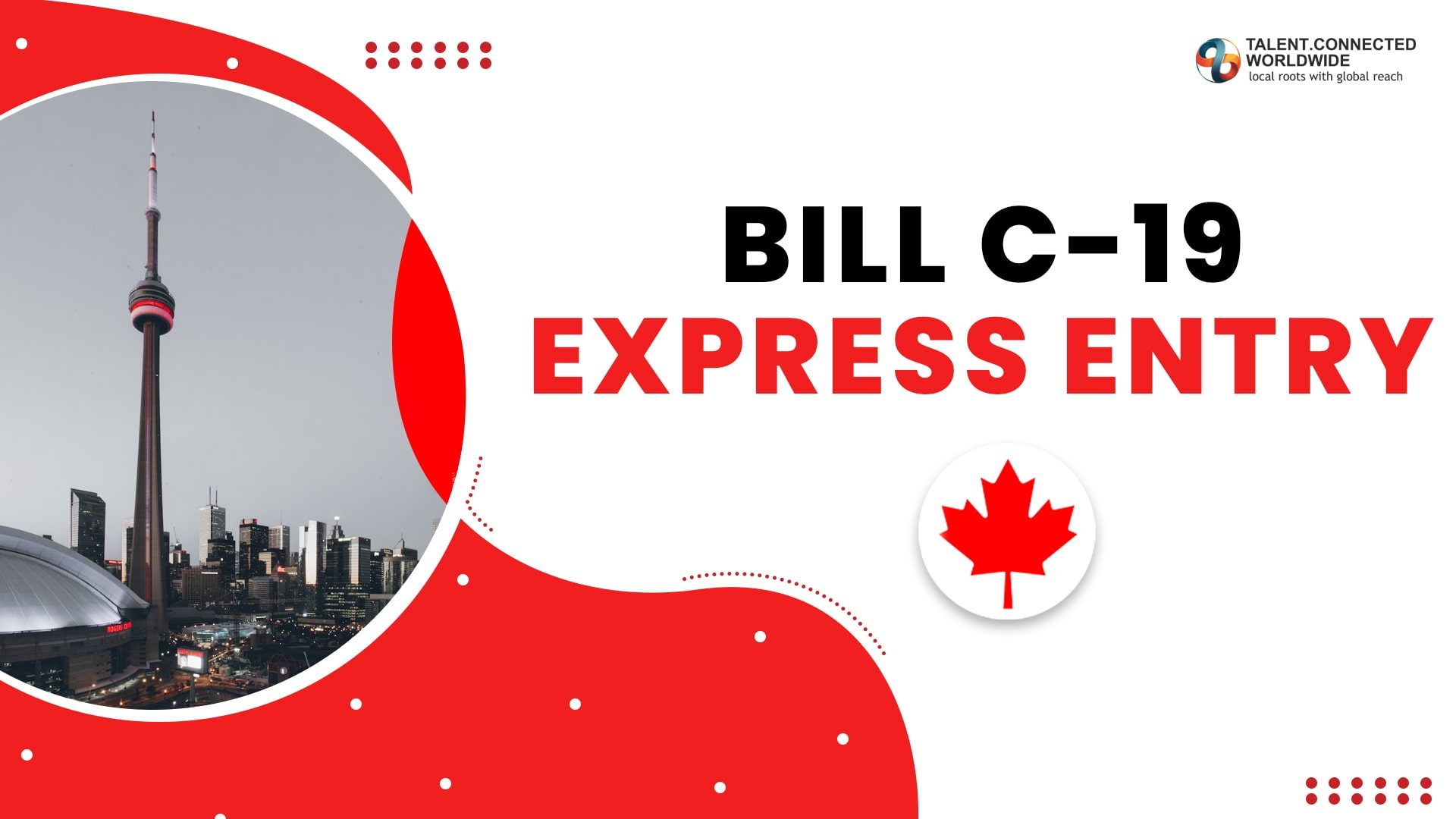 Bill C-19 Express Entry